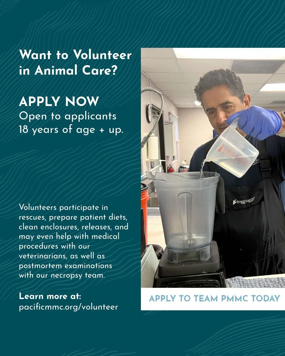 Apply today! Join us as an Animal Care Volunteer at Pacific Marine Mammal Center to make a difference in the lives of our patients and give back to the environment we call home 💙 Go to the link in bio to join our fintastic crew today and leave a pos