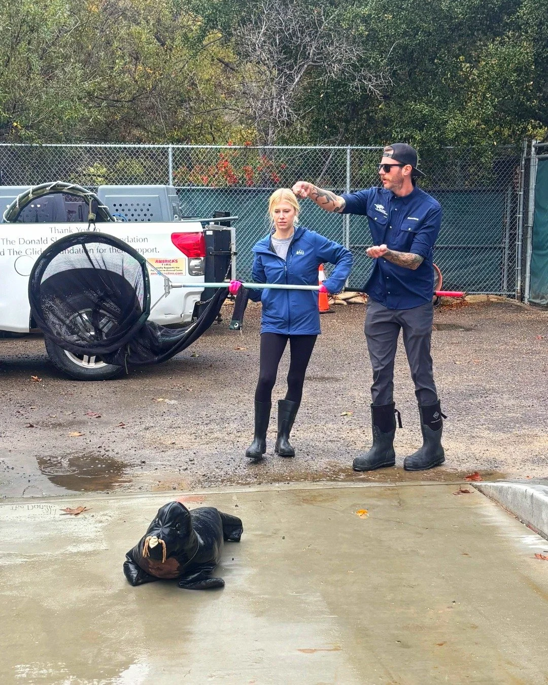 Slow season = training season at PMMC! 🦭

Last week, we hosted two sessions for our amazing on-call rescue team - a dedicated group of Animal Care volunteers who remain on standby throughout the week (in addition to their regular animal care shifts)