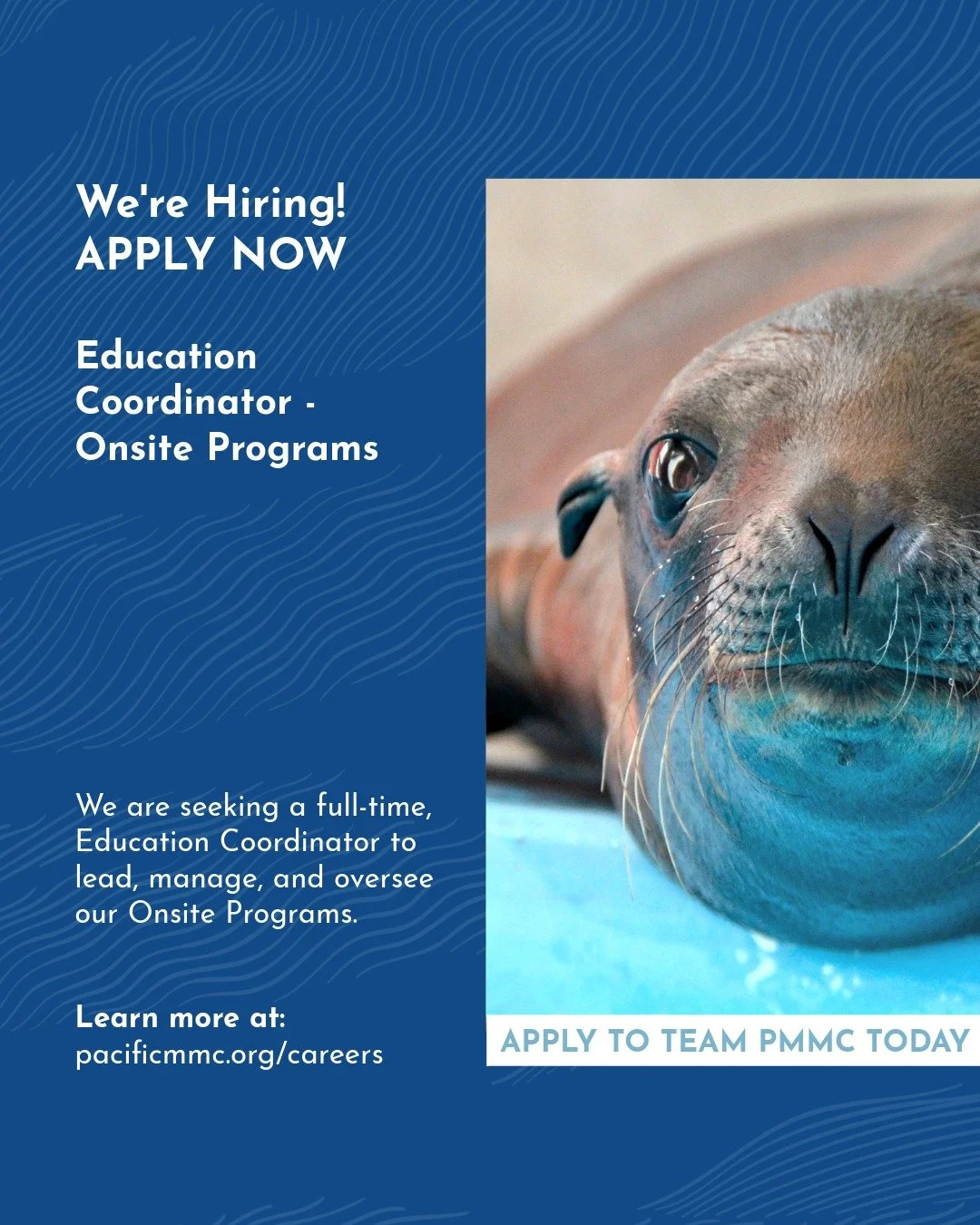 We&rsquo;re #hiring! Apply today ⭐ We&rsquo;re seeking a full-time Education Coordinator to lead, manage, and oversee our exciting Onsite Programs. Join an amazing team of educators and passionate ocean advocates! Go to Careers at the link in bio to 