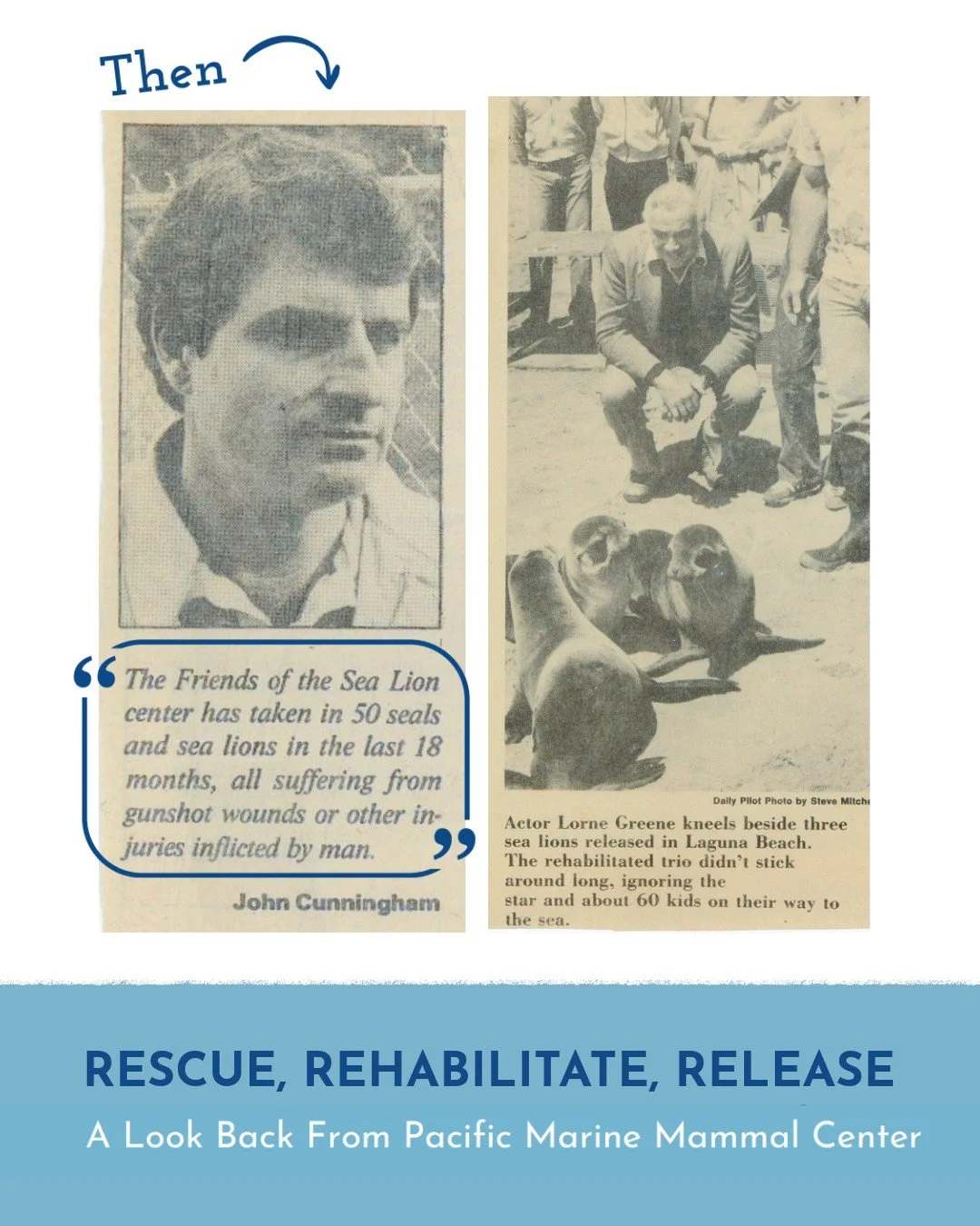 Then and Now: 55 years of Rescue, Rehabilitation, and Release 

From our humble beginnings as Friends of the Sea Lion in 1971 to a leading marine mammal hospital now known as Pacific Marine Mammal Center, our ongoing efforts in rescuing, rehabilitati