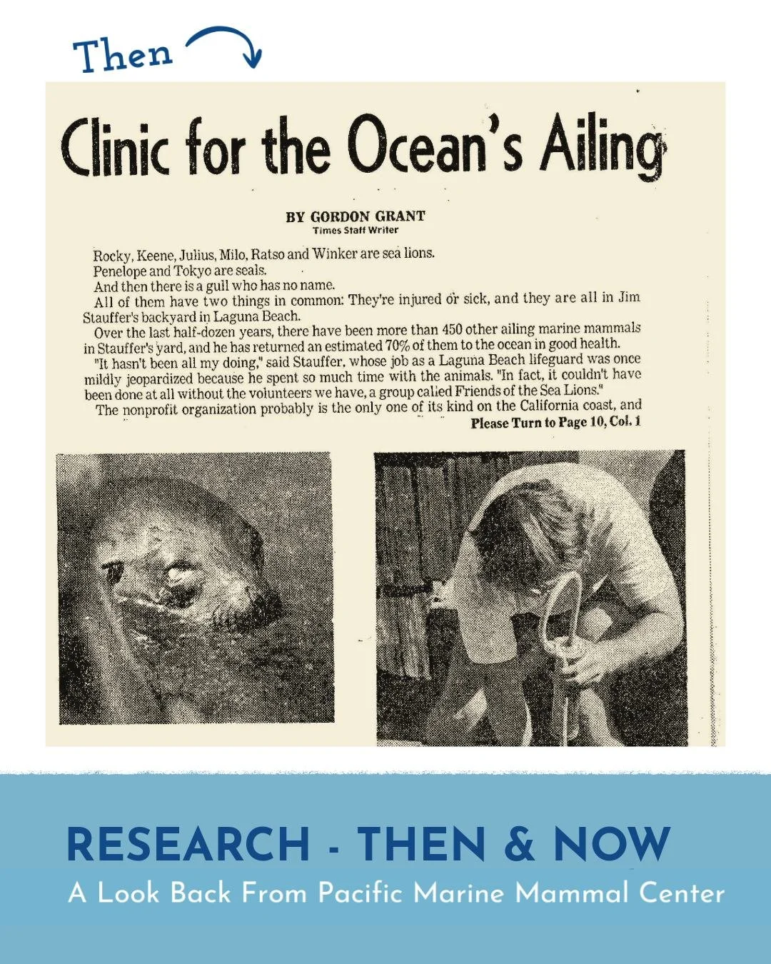 Through our work, we are able to carefully gather important information, samples and data, giving our team and collaborating scientists vital access to valuable findings. 

From in-house pinniped patients to responding to stranded cetaceans and entan