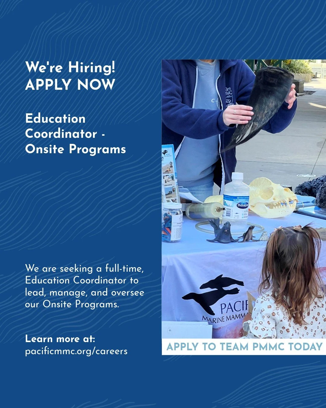 Do you enjoy talking with people about marine mammals? Do you have experience teaching marine science to children? Apply today 💙

Join PMMC&rsquo;s education team and help raise awareness, compassion, and action to promote a healthy ocean for marine
