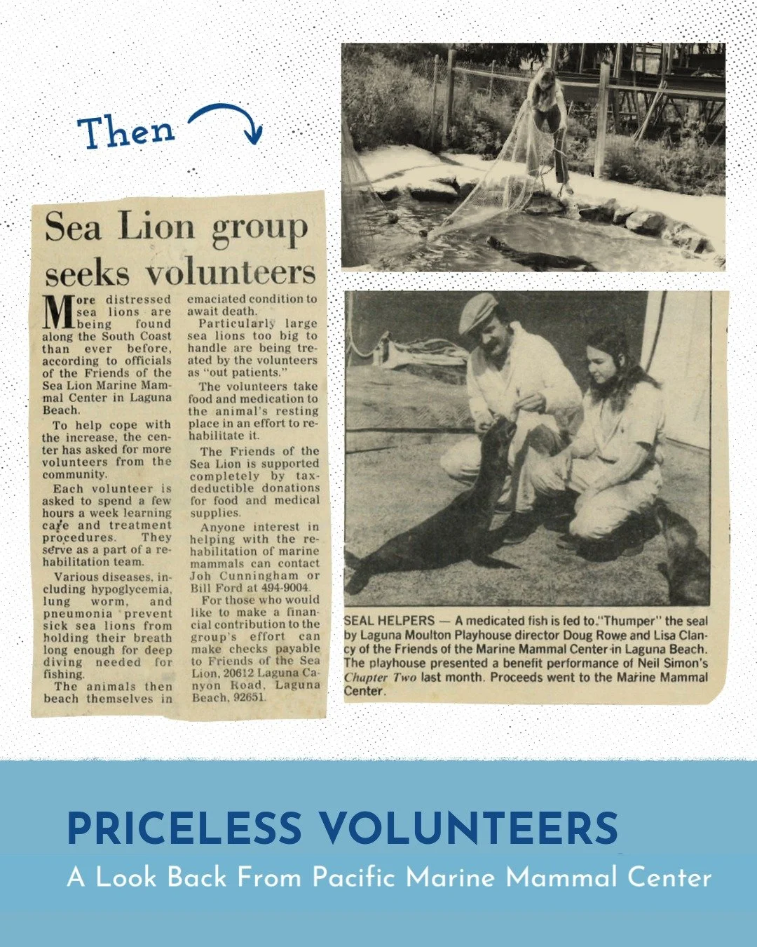 In 1972, a marine science class at Laguna Beach High School was developed and one of the requirements for students was to volunteer at PMMC! 

From then to now, our #TeamPMMC volunteer squad has grown to an impressive number of almost 300 strong! We 