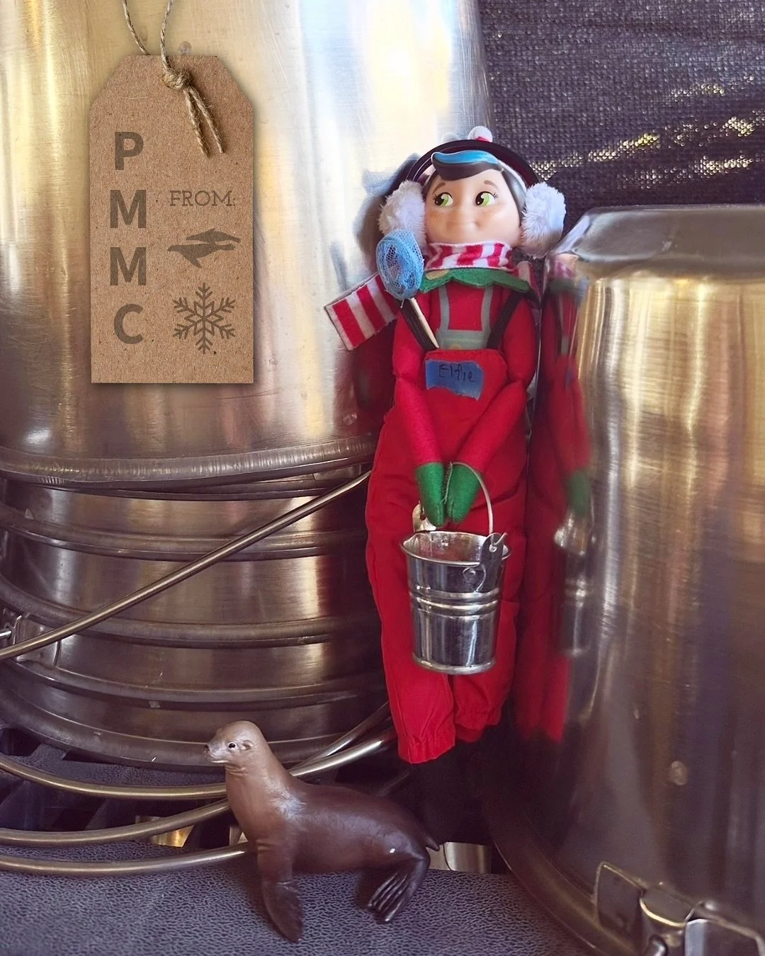 Seasons greetings from our marine mammal hospital 🏥🦭 Our smallest volunteer, Elfie, has been lending a helping hand around the holidays ❤️💚