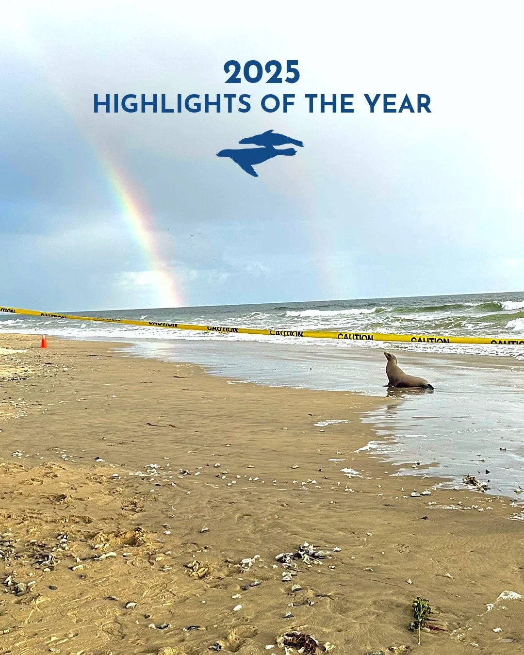 ✨And that&rsquo;s a wrap on 2025!💫 Check out some highlights from this very busy year in our animal hospital &amp; comment below with your favorite 👇

We responded to 442 California sea lions, 24 northern elephant seals, 6 fur seals, 1 harbor seal,