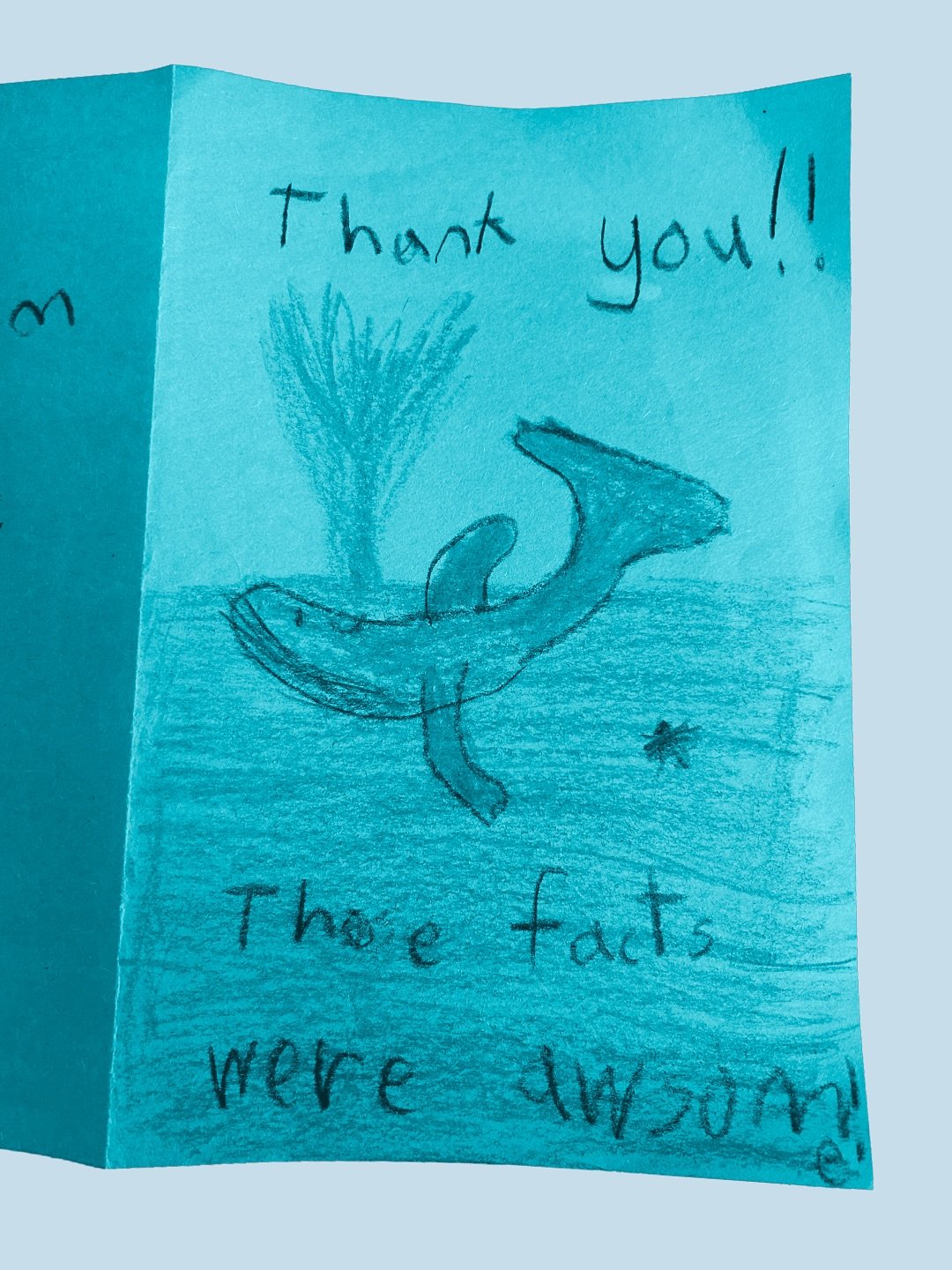Do you love whales as much as a kindergartner loves whales? 

*Drawings of Winston the Whale, grades K-4
&nbsp;
🐳 Whales on Wheels is an inspirational and interactive presentation followed by a walk through a 56-foot, anatomically correct, inflatabl