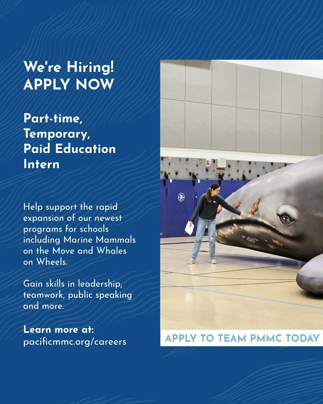 We're #hiring! Are you a college student or recent grad? Apply Now ✨

Do you enjoy connecting with people, talking about marine mammals, and inspiring people to care for the planet? We have 3 unique opportunities available to join our Education team!