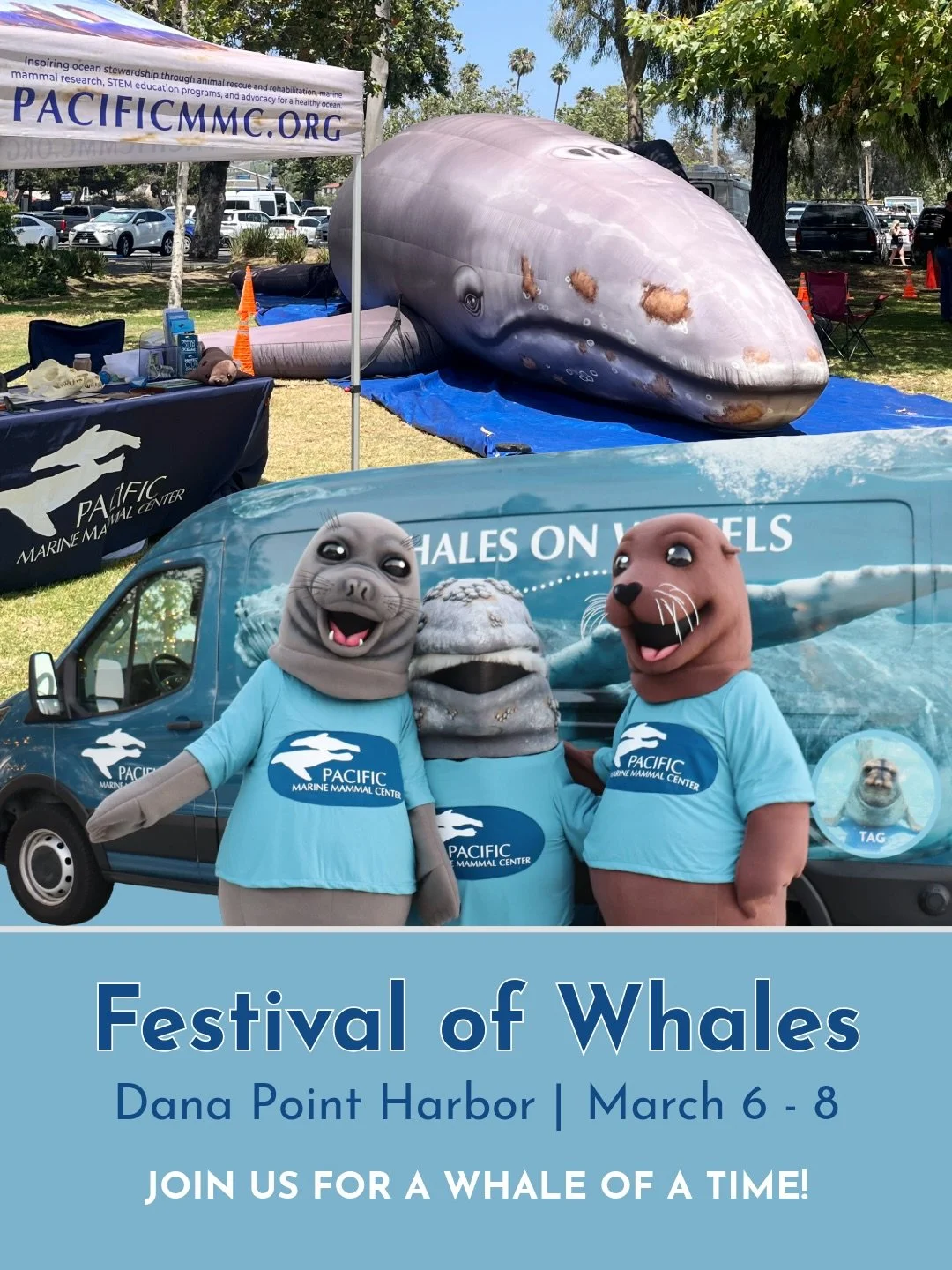 Join PMMC next weekend at @festivalofwhales for a whale of a time! 🐋✨

Stop by Dana Point Harbor on Saturday, March 7th, to wave hello to our mascots in the Magical Migration Parade at 10 am, take a picture with Winston the inflatable gray whale, ta
