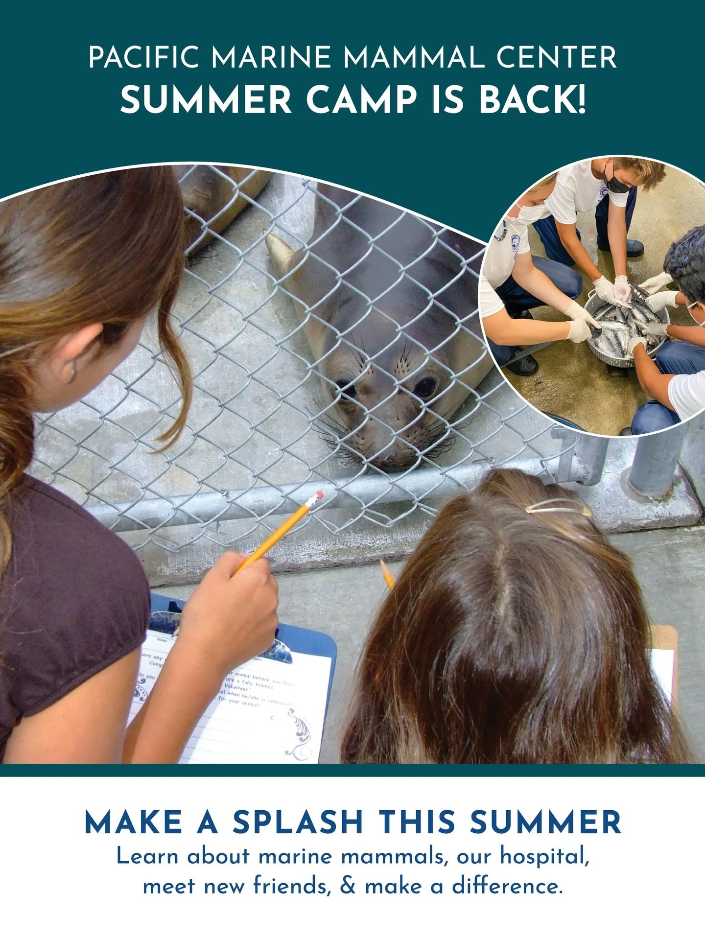 As we near our upcoming grand reopening, we are excited to welcome kids and teens back for summer programs in July and August! See details on our website, sign up today, and we&rsquo;ll seal you soon! Please stay tuned for our official announcement o