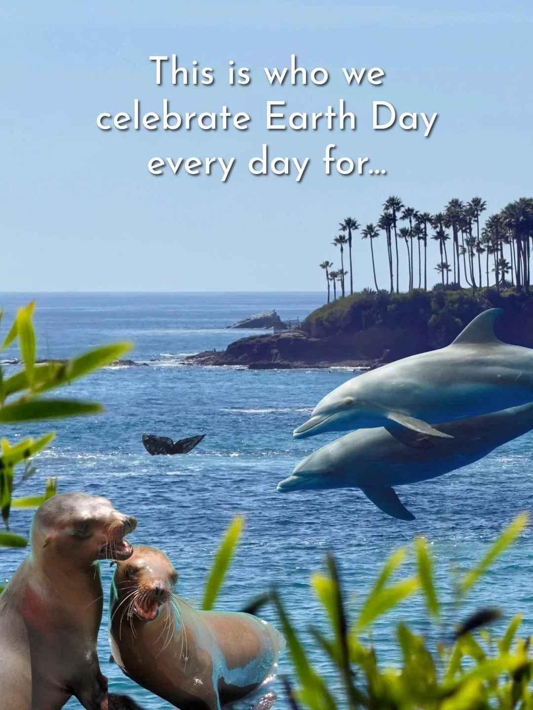 Happy Earth Day from PMMC 🌎 This is just some of our inspiration for all that we do every day! 🦭🐬🐋

Our mission of marine mammal health and ocean conservation isn&rsquo;t possible without working together with people like YOU, to make a differenc
