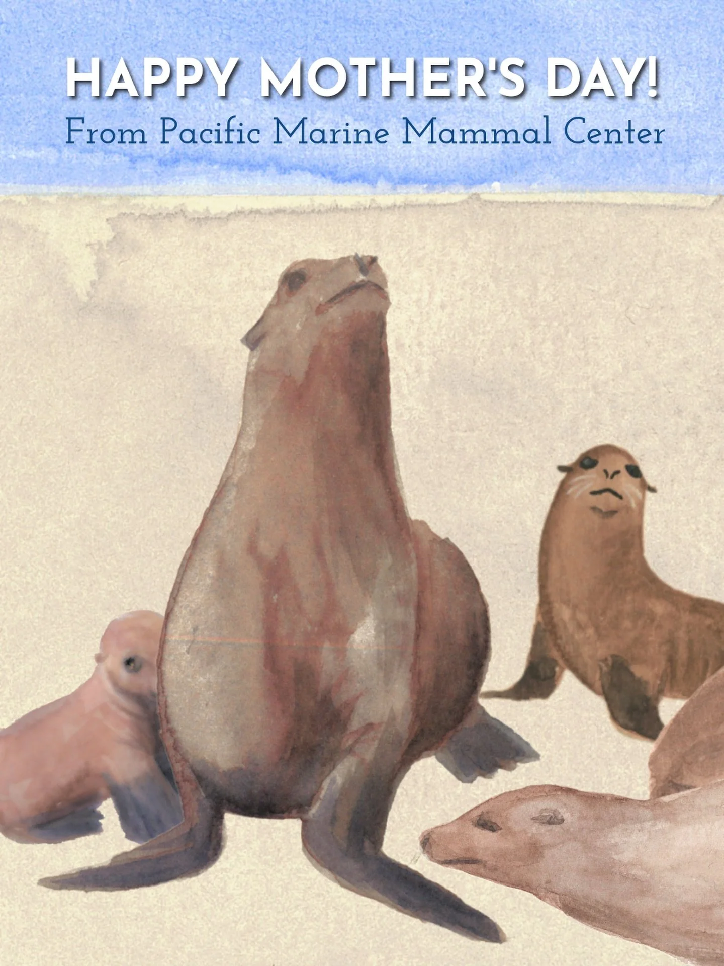 Happy Mother&rsquo;s Day to anyone providing guidance, love, and care to the &ldquo;pups&rdquo; of the world 🦭🩷

Illustrated by Laura Frost, PMMC Distance Learning and After School Programs Coordinator