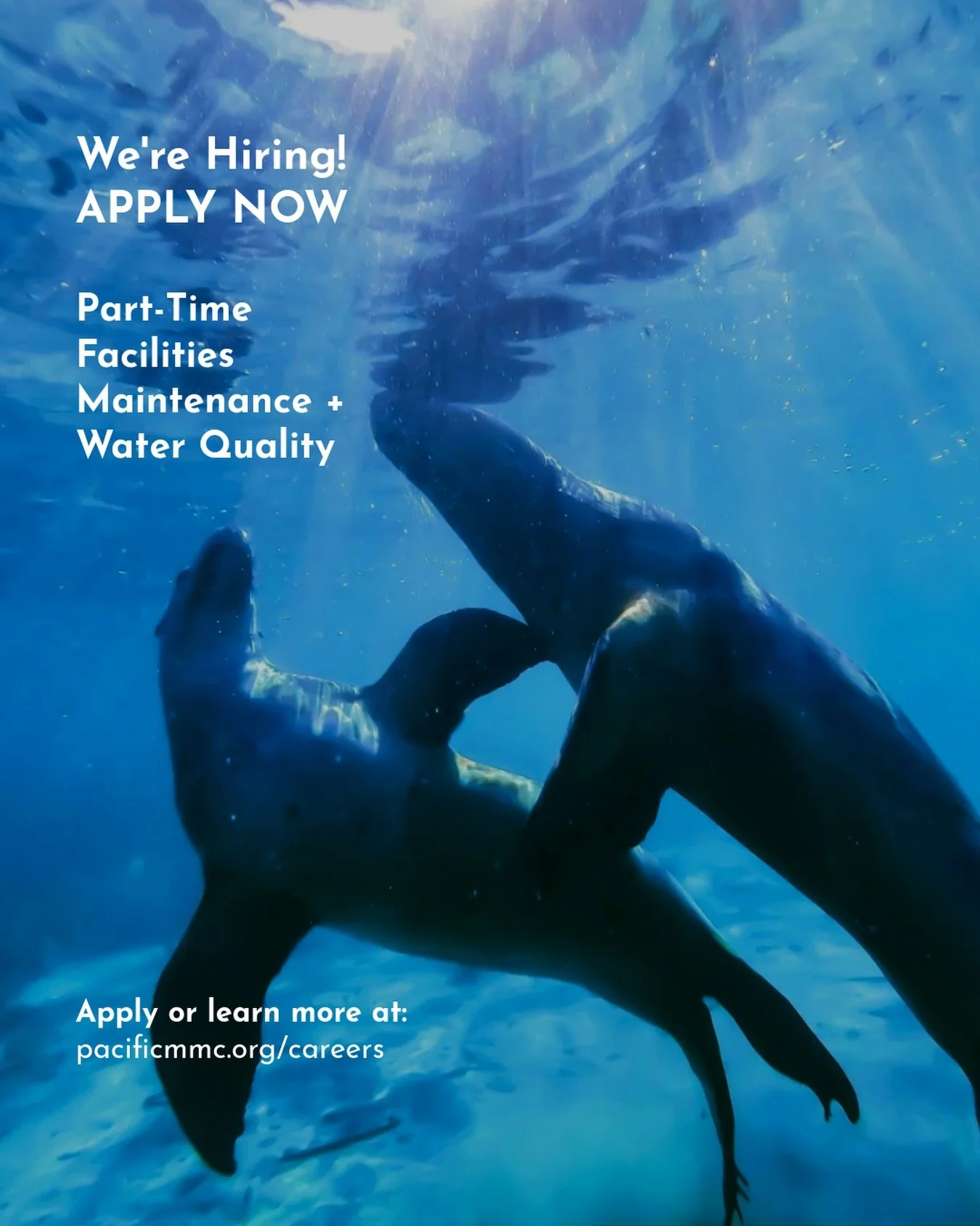 ⭐️ We&rsquo;re #Hiring! Pacific Marine Mammal Center is on the lookout for a motivated individual who has an interest in water quality and facilities maintenance who is comfortable working around wild animals 🦭 You&rsquo;ll gain hands-on experience 