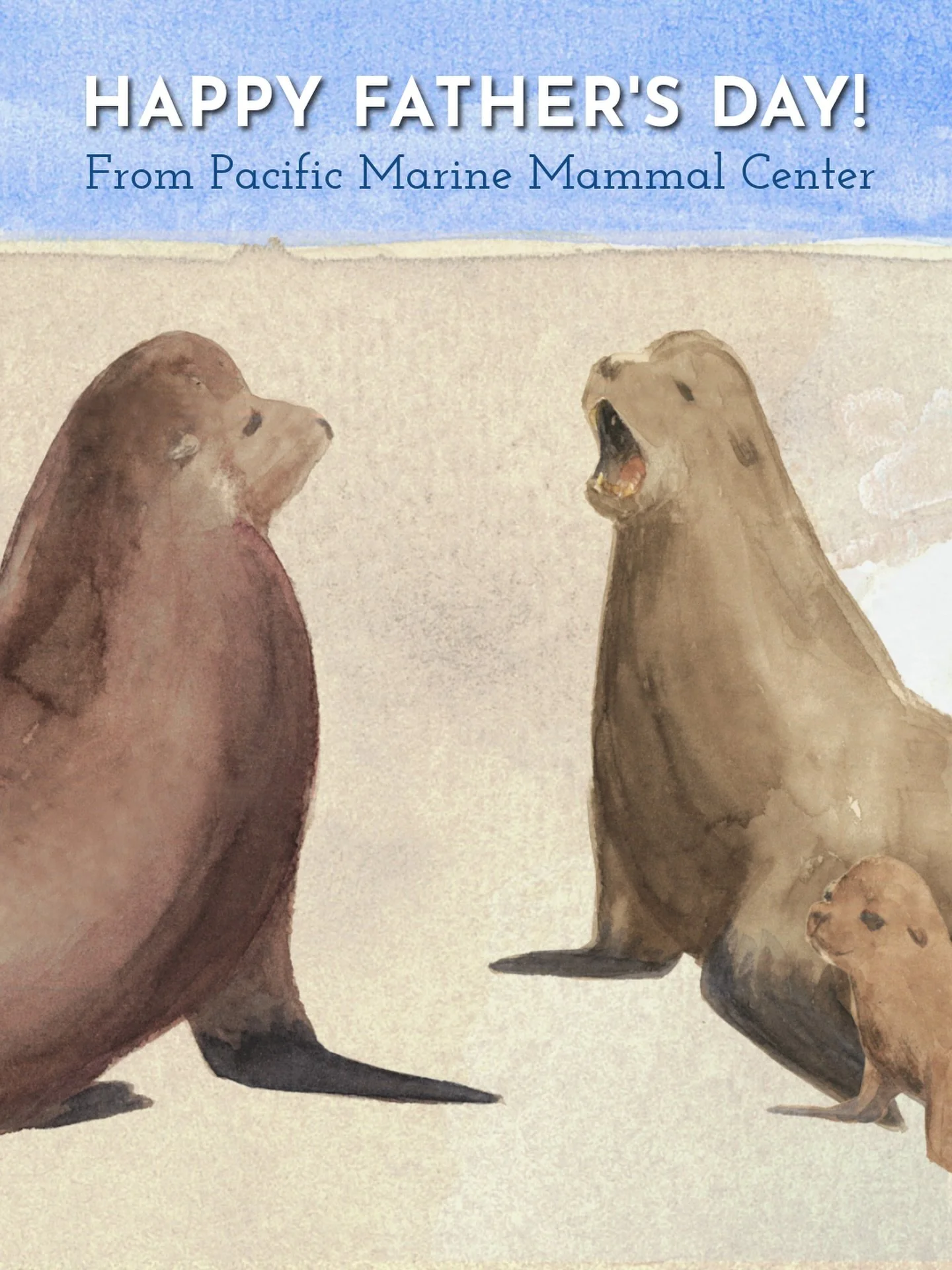 Happy Father&rsquo;s Day to anyone providing guidance, love, and care, to the pups of the world 🦭🩵

Watercolor Illustration by Laura Frost, PMMC Distance Learning &amp; After School Programs Coordinator