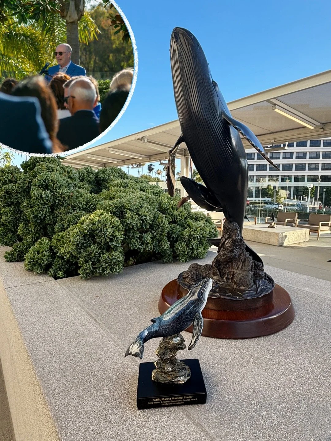 Last month, the Pacific Life Foundation welcomed 175 nonprofit executives and grantees to their Newport Beach office for their annual Grants Reception on June 16th, including Pacific Marine Mammal Center 🦭
&nbsp;
Since awarding its first grant in 19