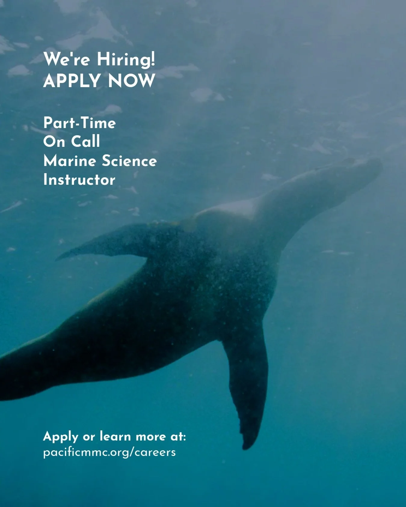 We&rsquo;re #Hiring! 🌊 Pacific Marine Mammal Center is on the lookout for an enthusiastic team member who can help support the rapid expansion of our newest and most popular education programs as a Part Time, On Call, Marine Science Instructor. 

We