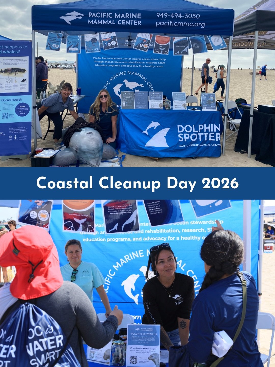 We recently trained up the @occoastkeeper team about Dolphin Spotter since they host monthly cleanups across the county &amp; often see coastal cetaceans while cleaning our beaches 🐬🌊

This past Saturday, we joined their site location at Huntington