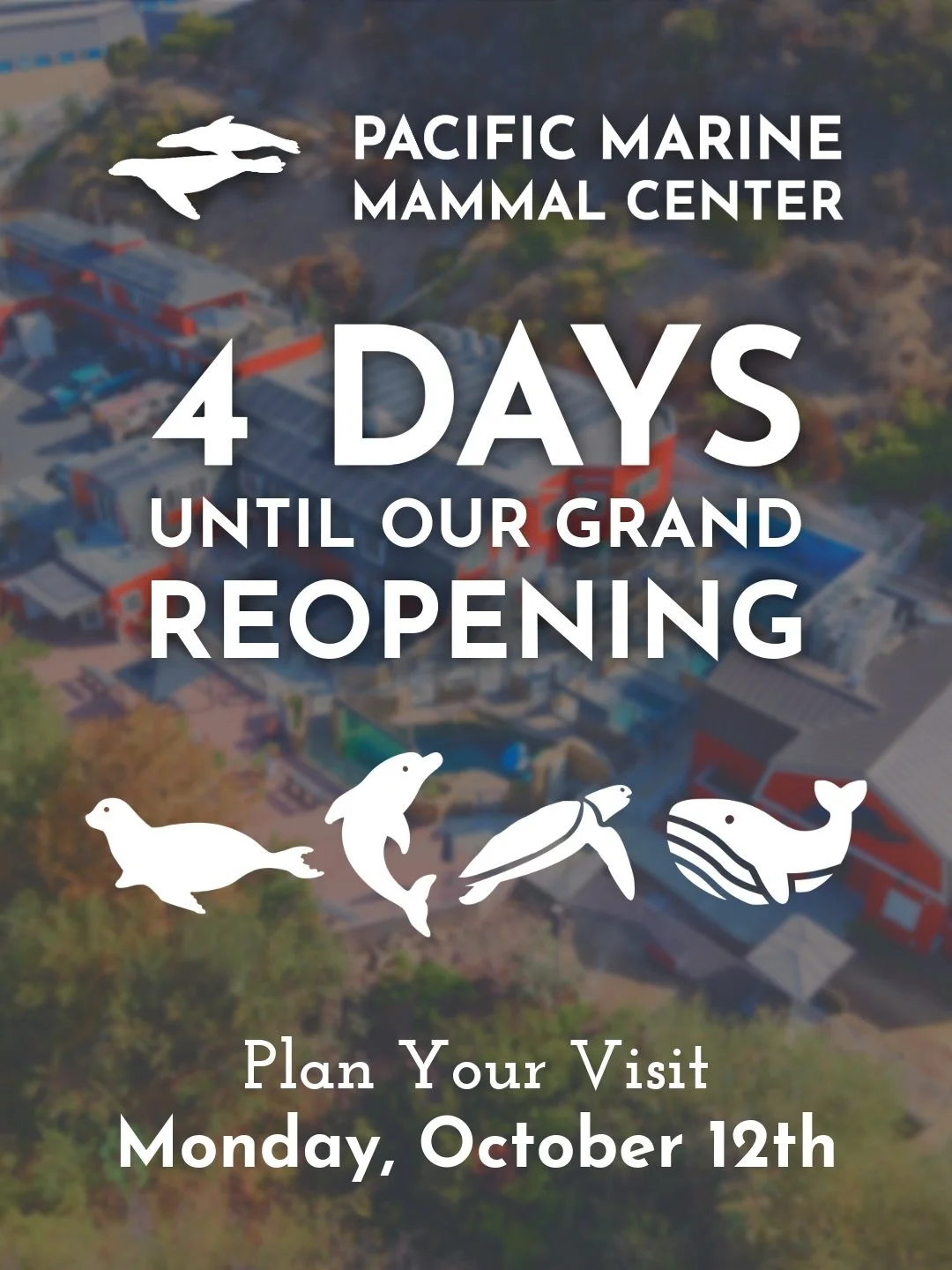 The big day is almost here! On Monday, October 12, PMMC will reopen to the public for the first time in 3 years. We&rsquo;ve been busy expanding our mission and facilities to better serve marine mammal rescue, rehabilitation, research, and education.