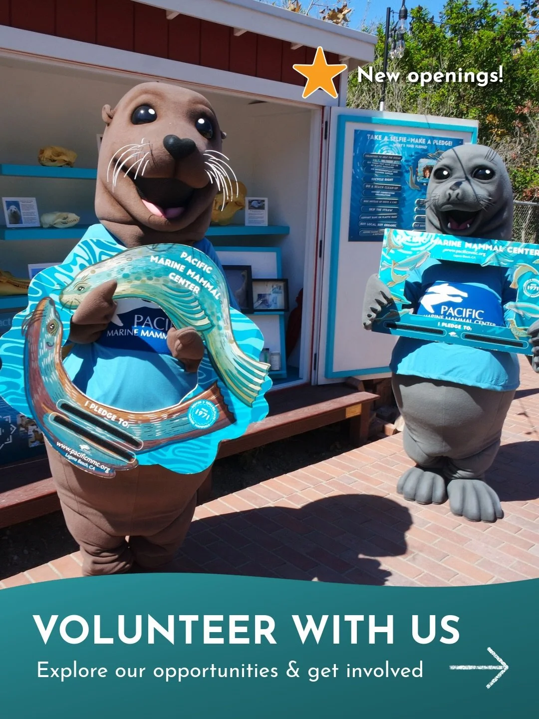 Apply to become a PMMC Volunteer!&nbsp;Link in bio ➡️

With our recent grand reopening, we have new roles and openings available! PMMC is seeking passionate, ocean-loving individuals to join our incredible team of volunteers 🦭🩵 As a nonprofit, we r