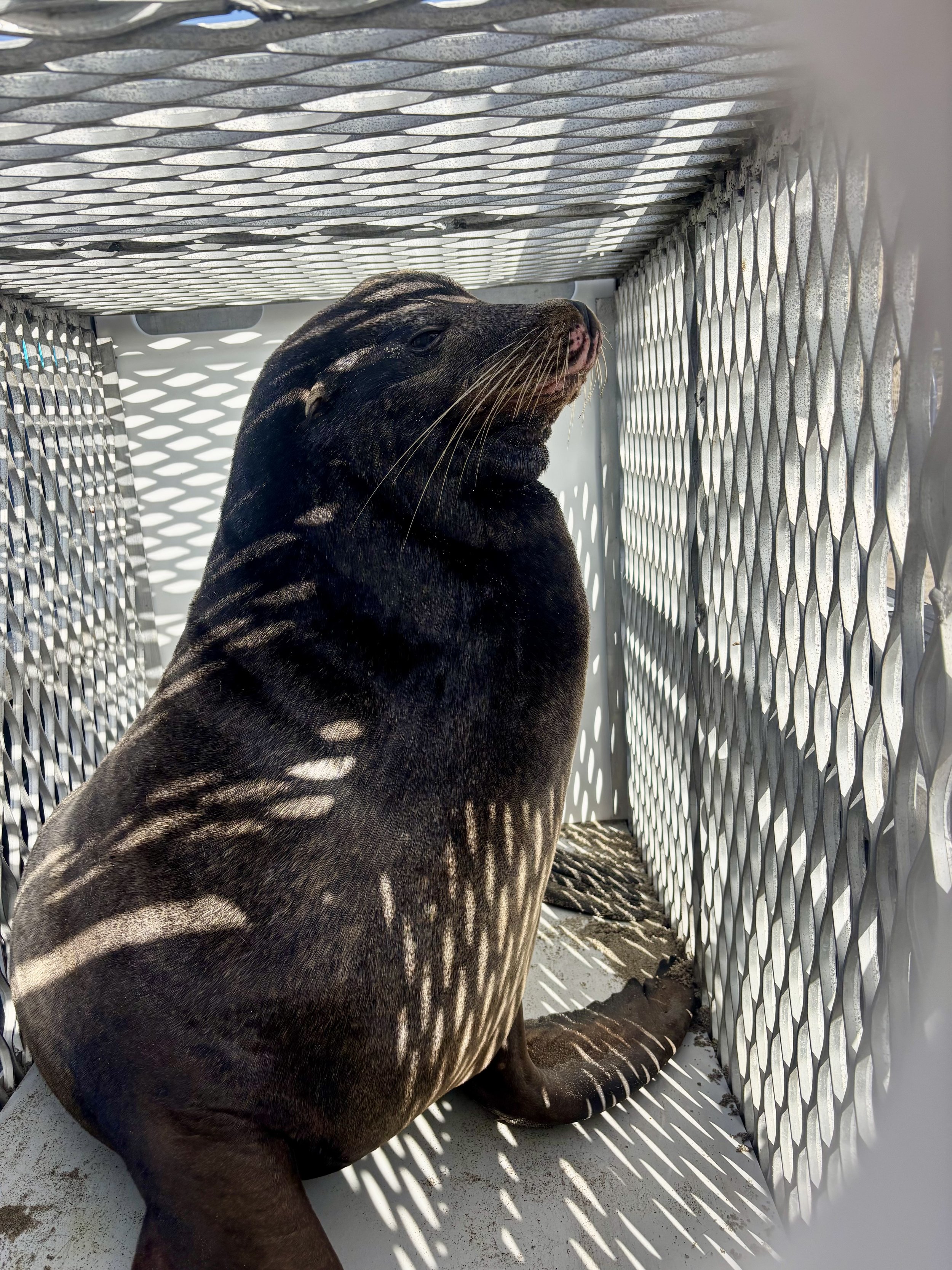 Z-25-11-09-334_Diesel_Rescue Photo_11.09.25 (1).jpeg