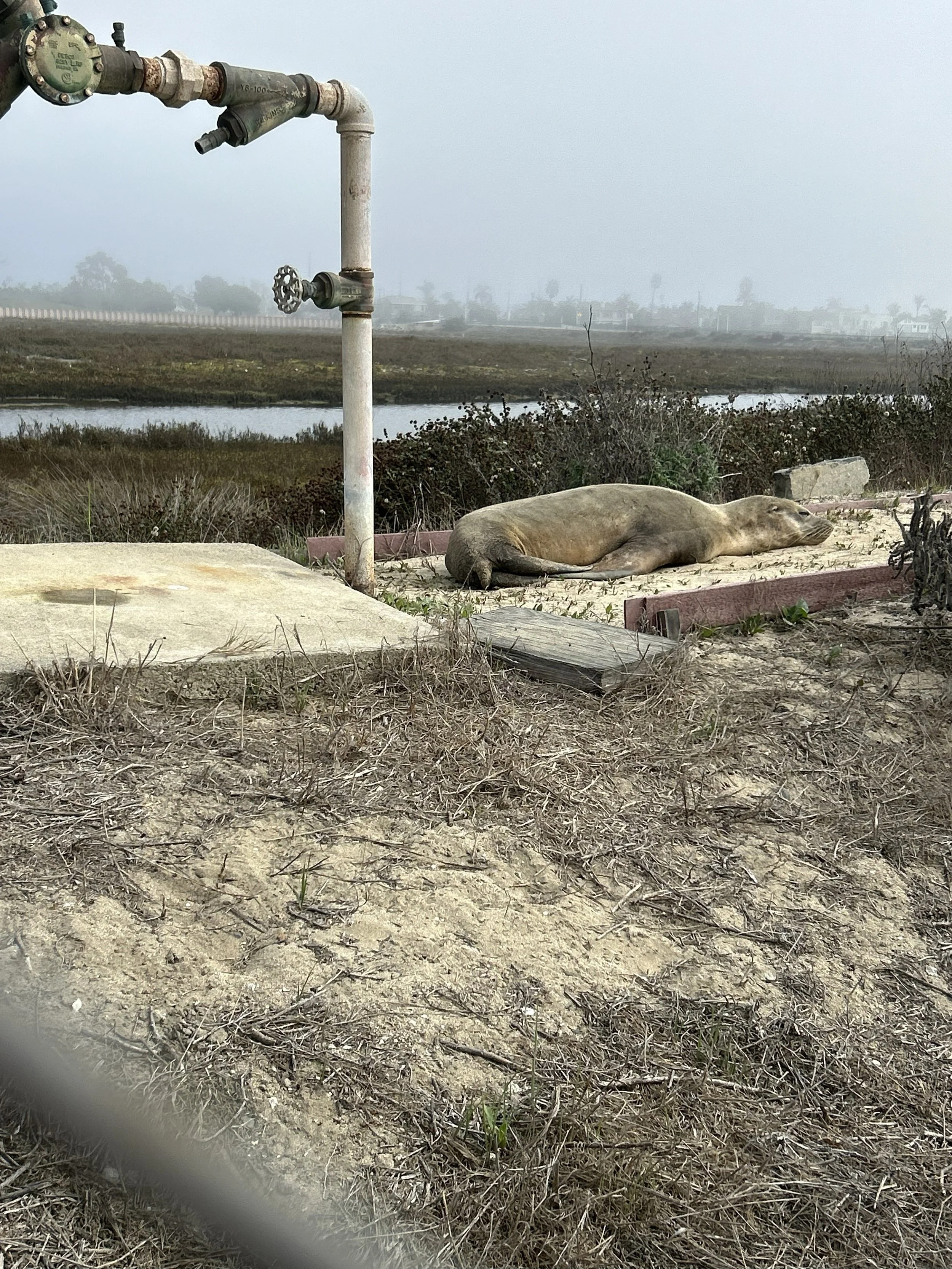 20251110_181933002_iOS (1).jpg