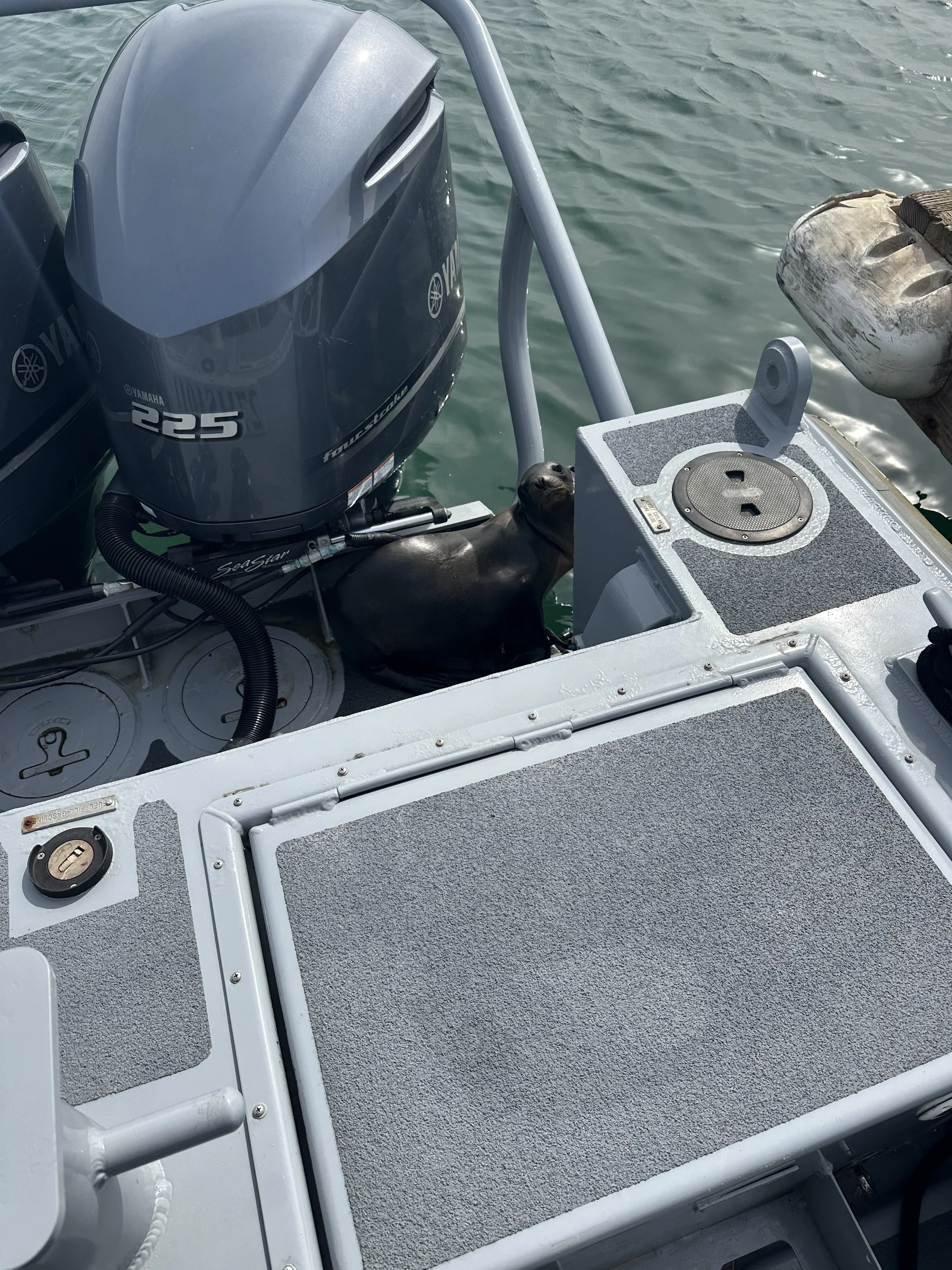 Z-25-02-16-013_Navy_Stranding Photo_02.16.25 (1).JPEG