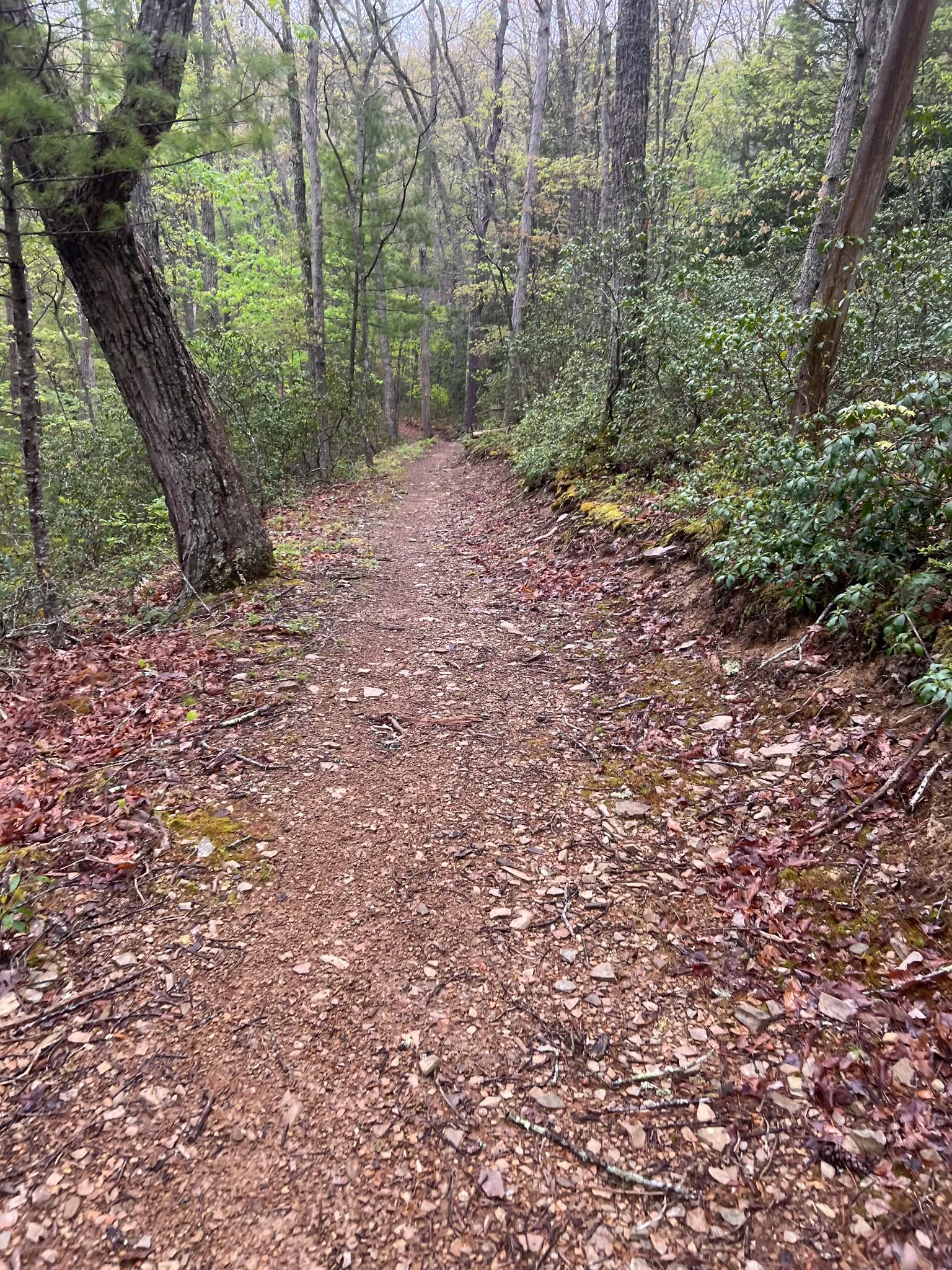 West Virginia Trail Fest