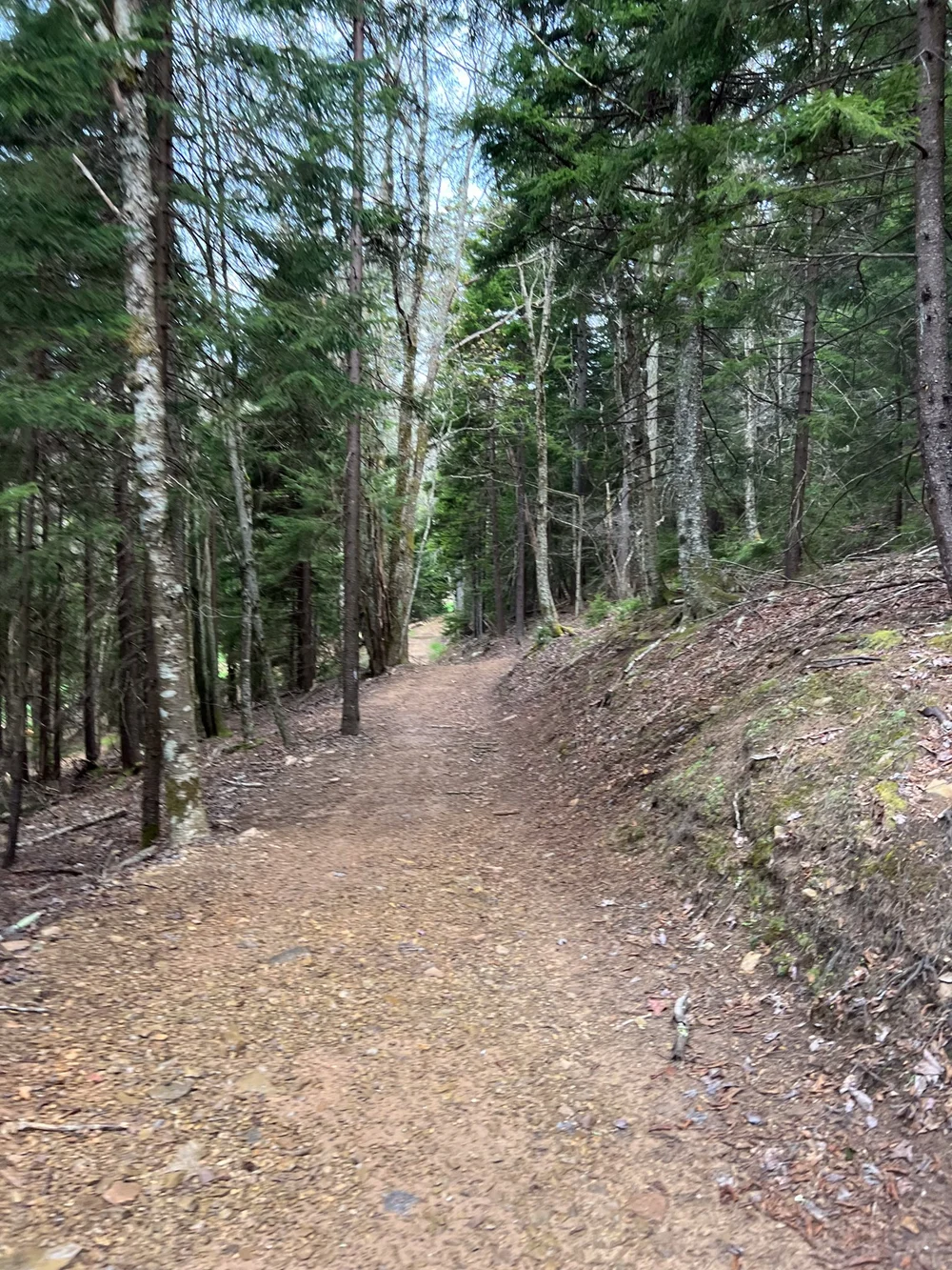 West Virginia Trail Fest