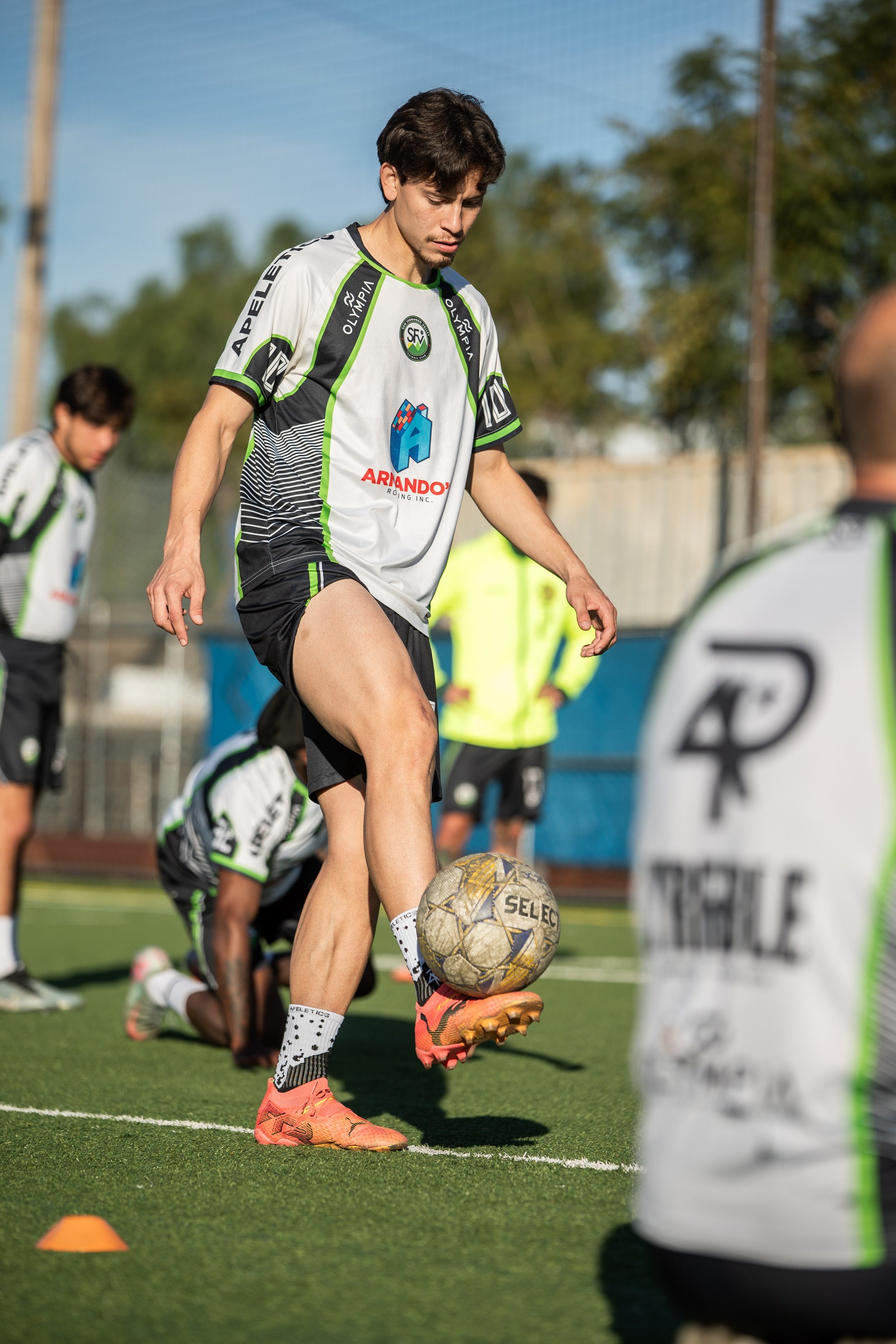 TRAINING; 01_20_2026