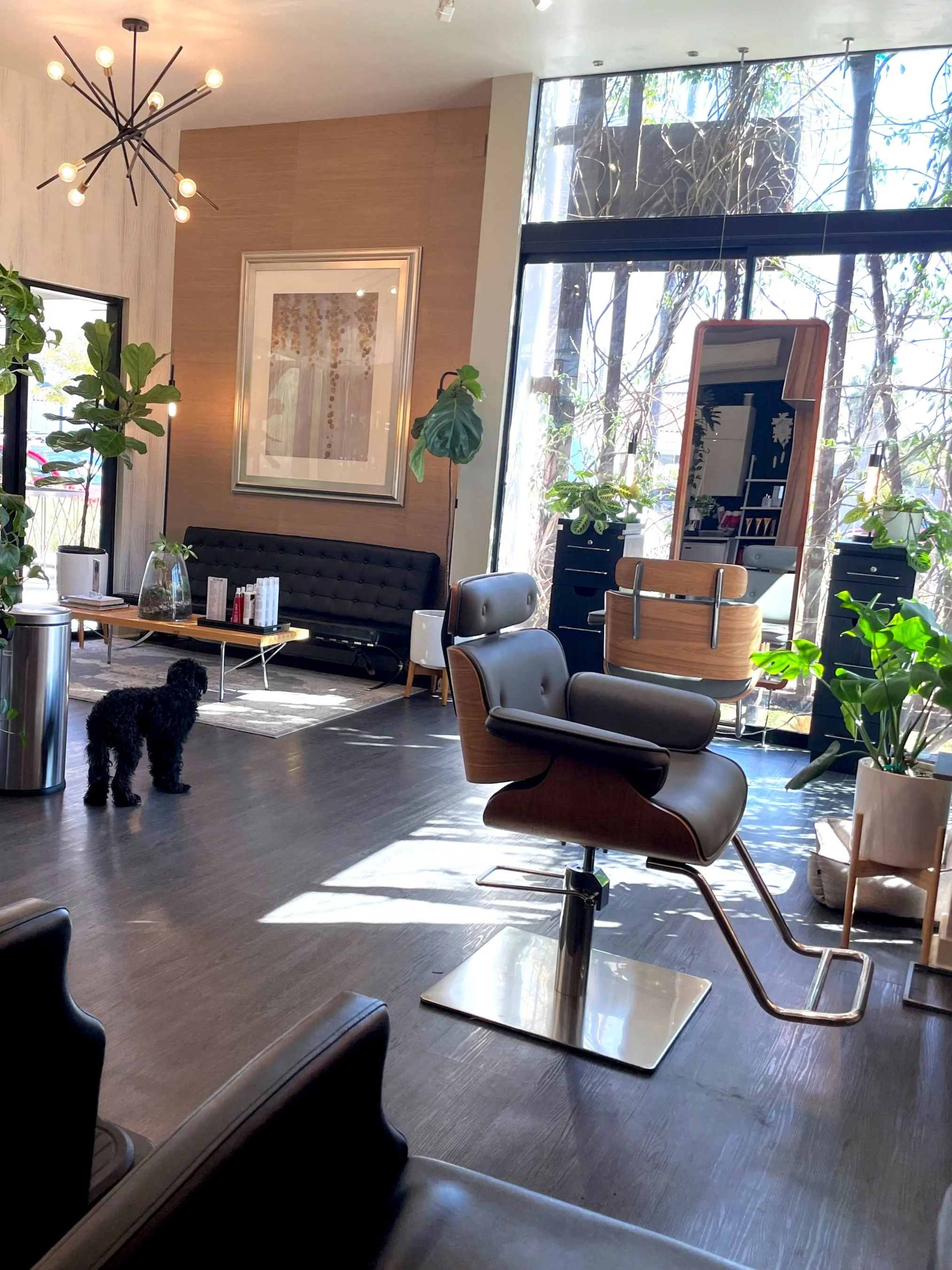 John Perry Salon
