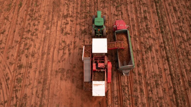 Screen Shot 2023-08-02 at 8.49.16 PM.png