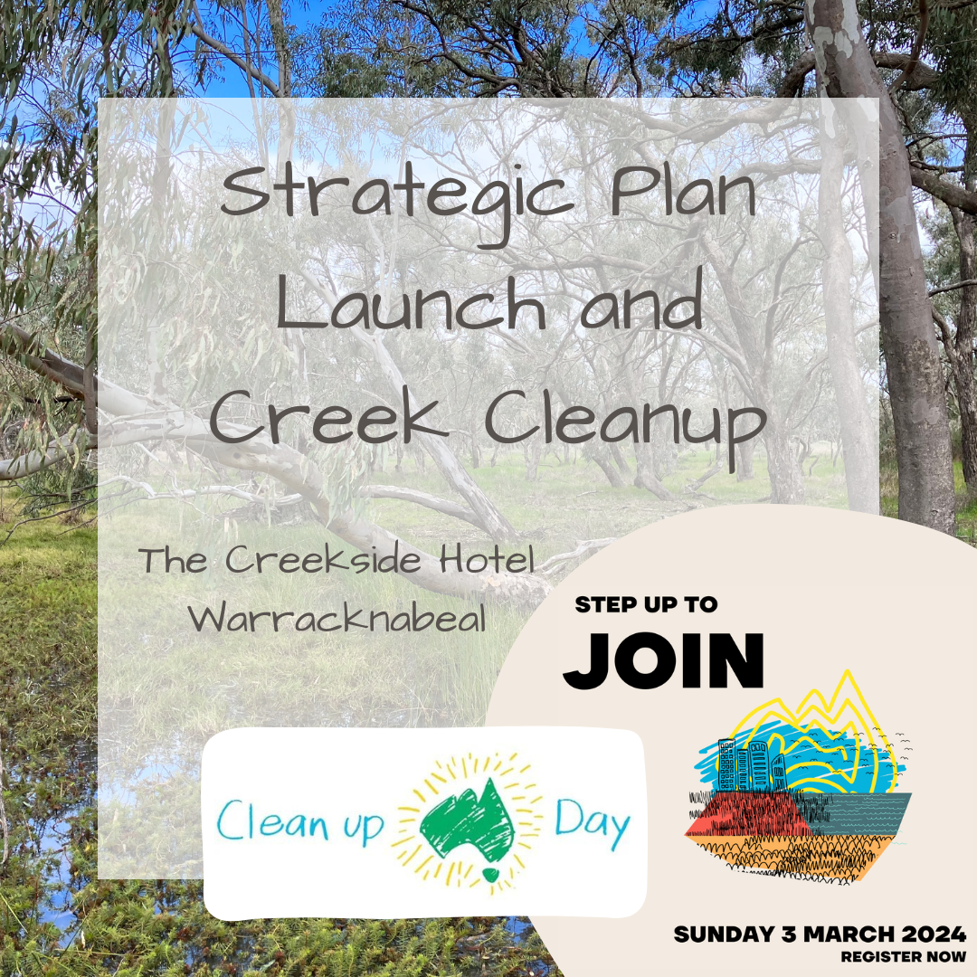 Clean Up Australia Day: Yarrilinks Strategic Plan Launch and Creek ...