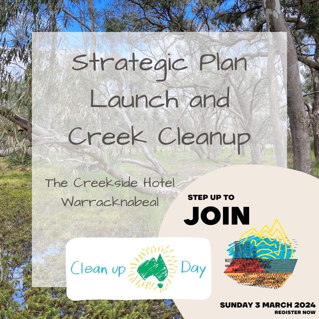 Strategic Plan Launch and Creek Cleanup (1).png