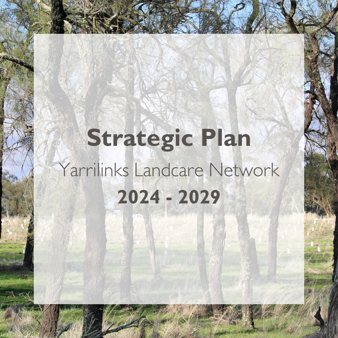 Strategic Plan Yarrilinks Landcare Network 2024 - 2029.png