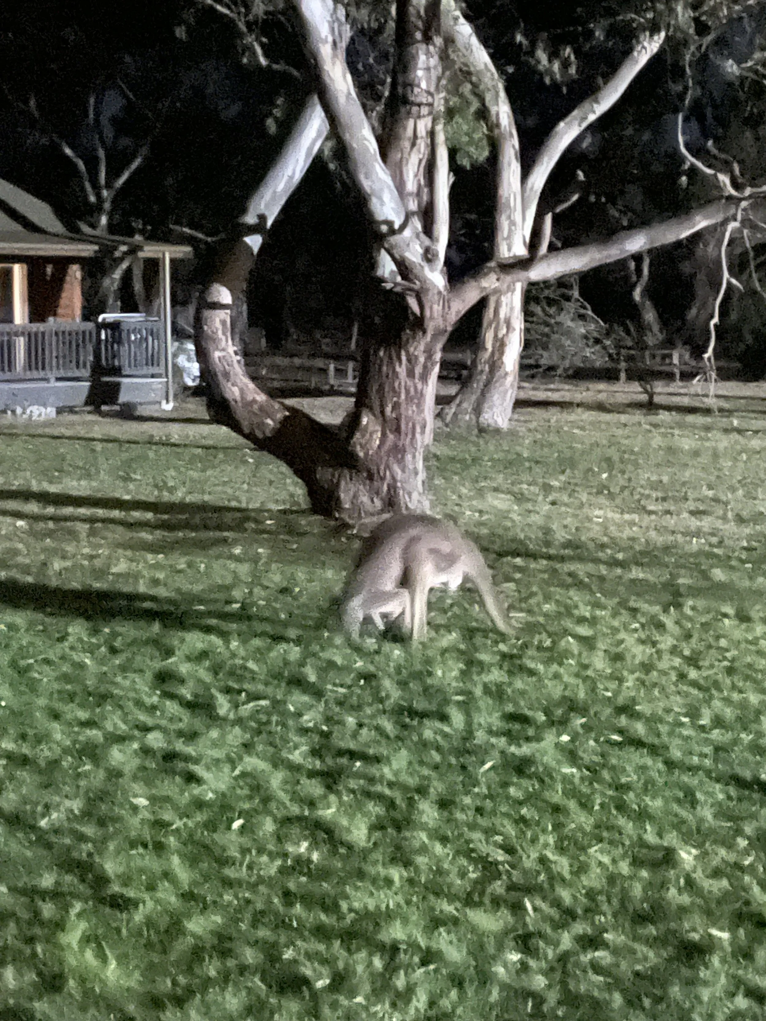 More evening entertainment