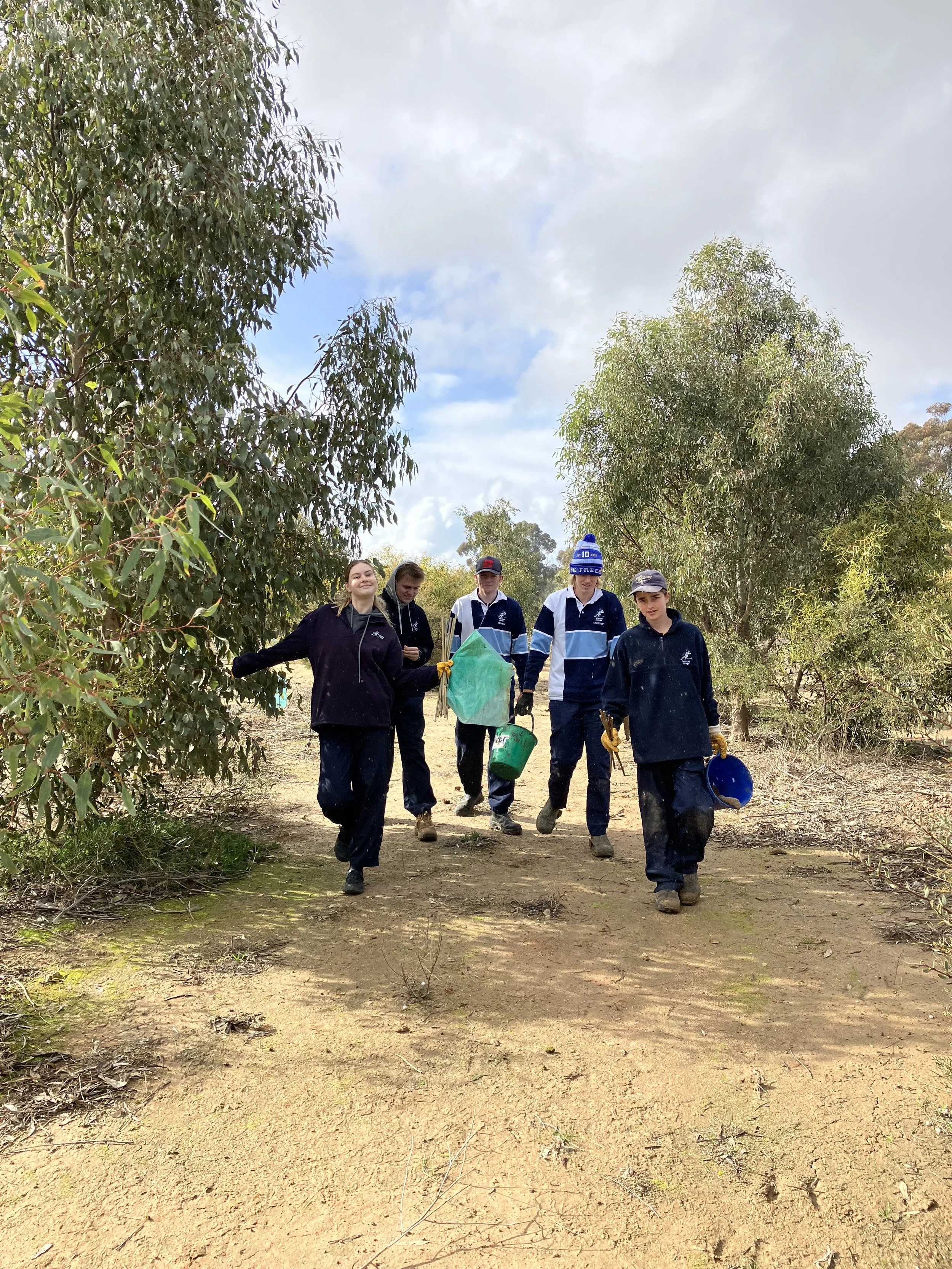 Tree planting: Project management activity with Murtoa College students ...