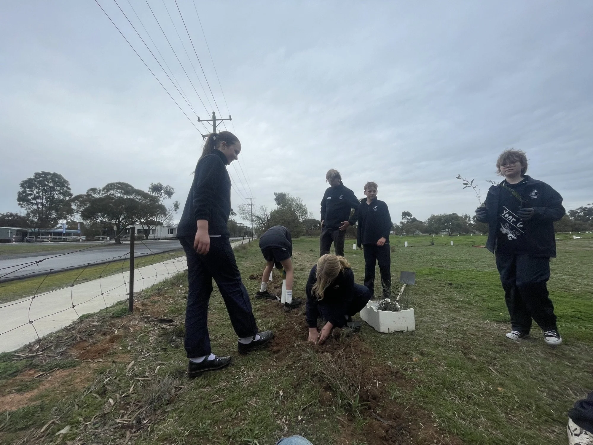 Murtoa1.jpeg
