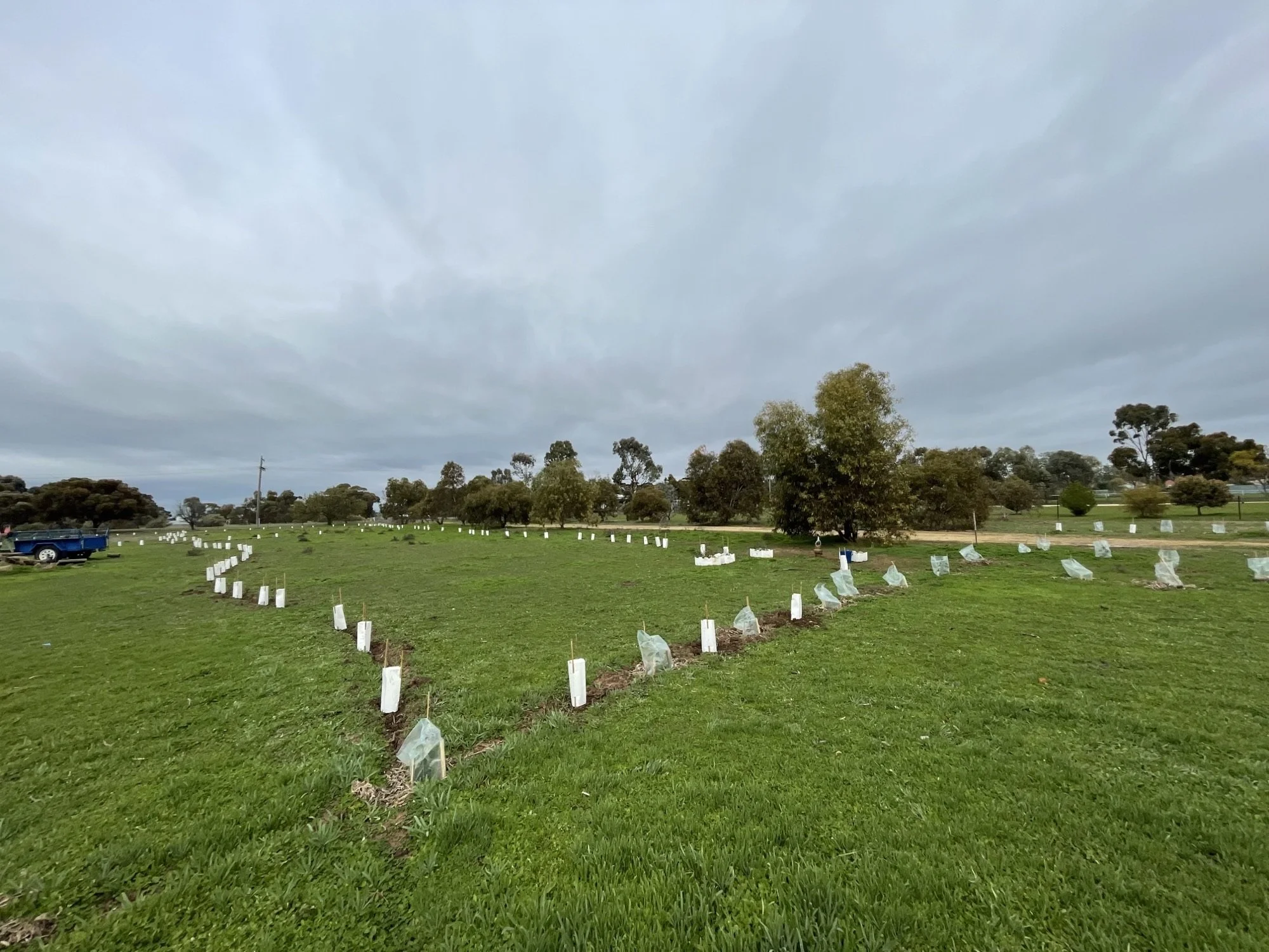Murtoa6.jpeg