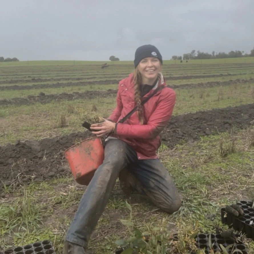 PlantOut2025 1.jpeg