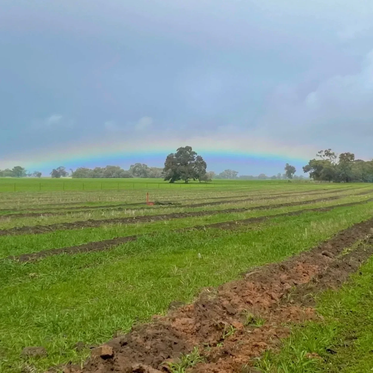 2026 Victorian Landcare Grants 