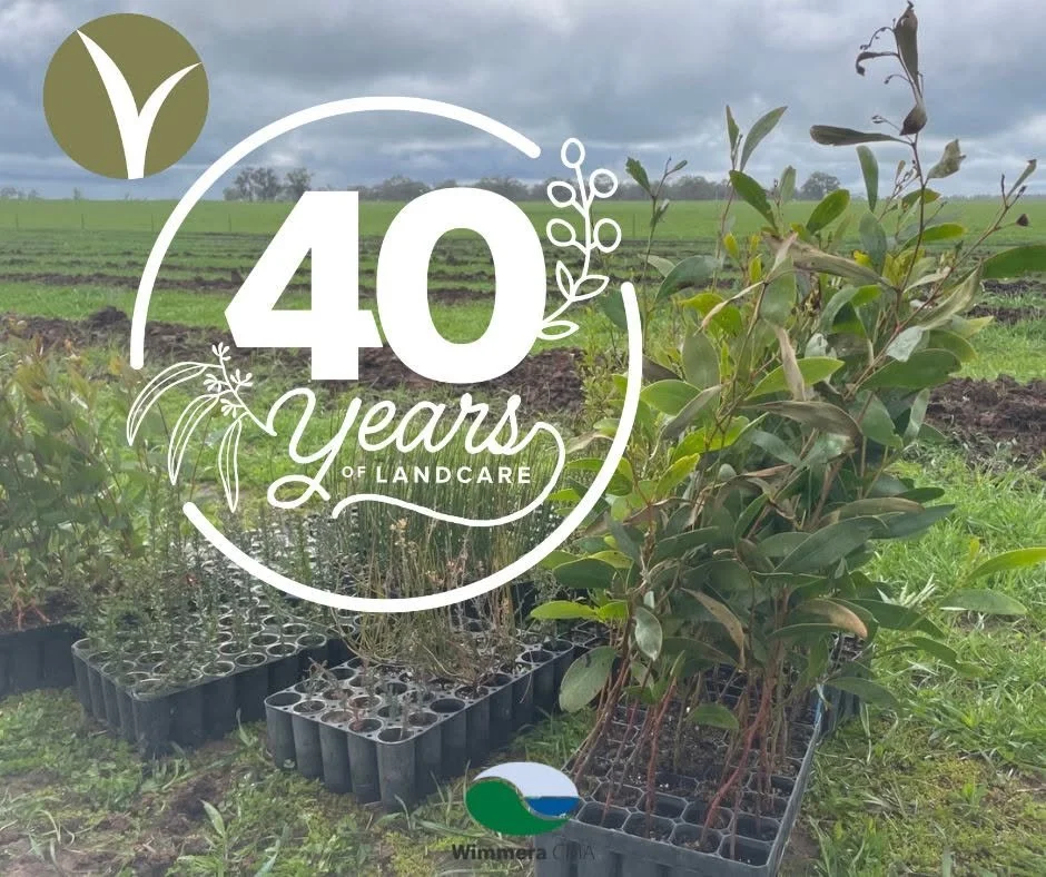 40 Years of Landcare - The Creek to Creek Bio-link.