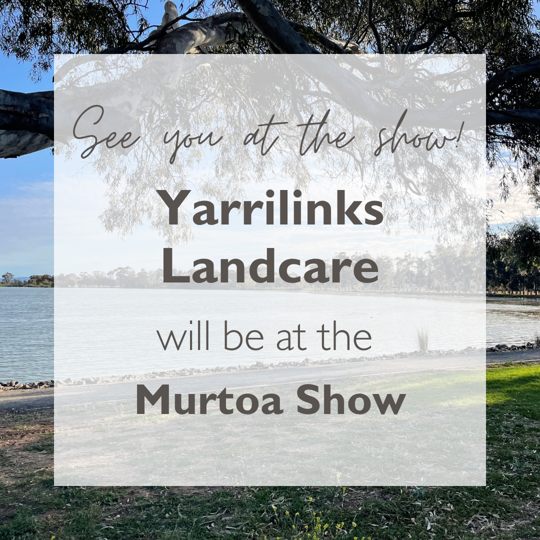 Yarrilinks @ the Murtoa Show!