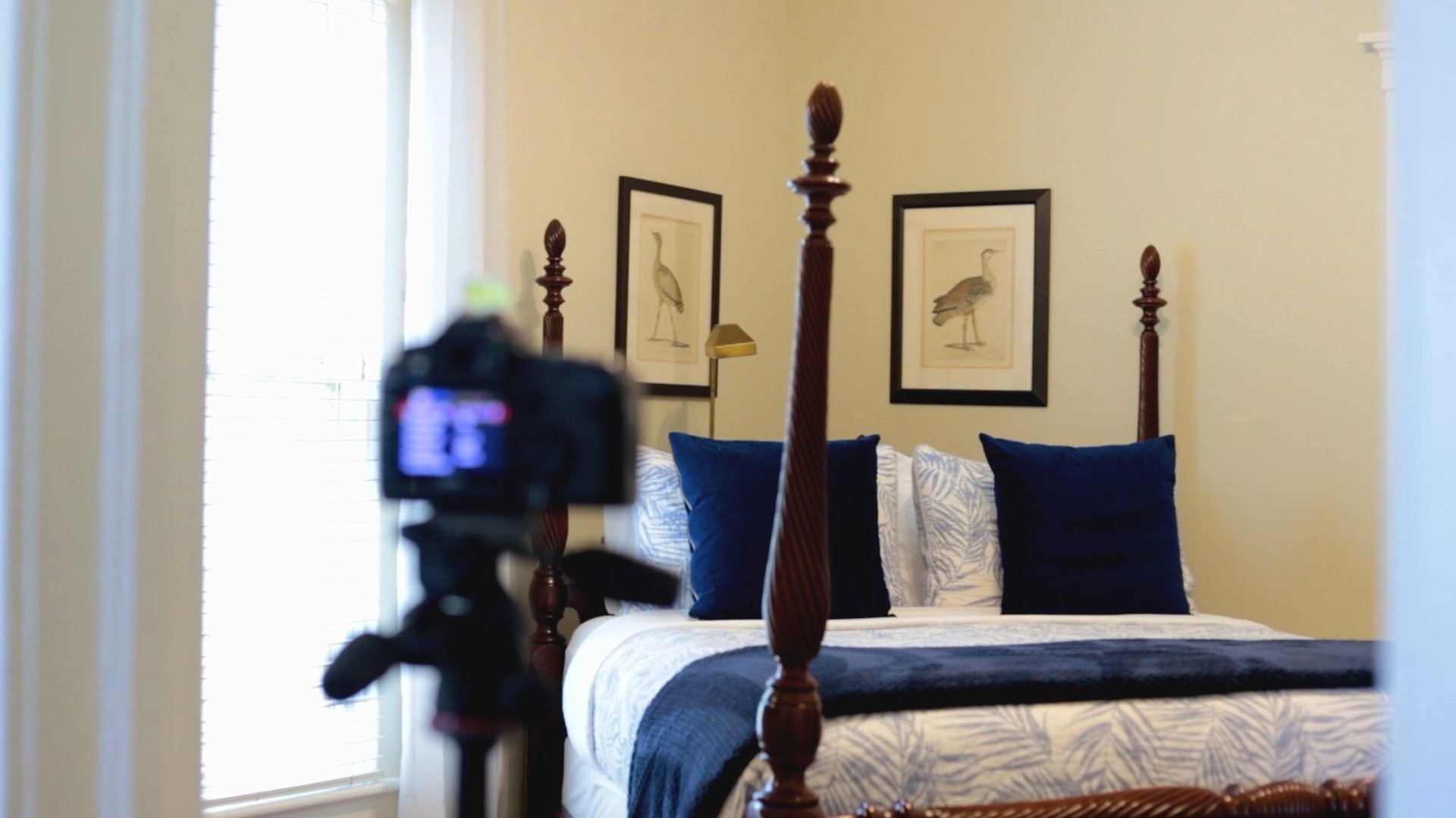 Sequence 01_40043.jpg