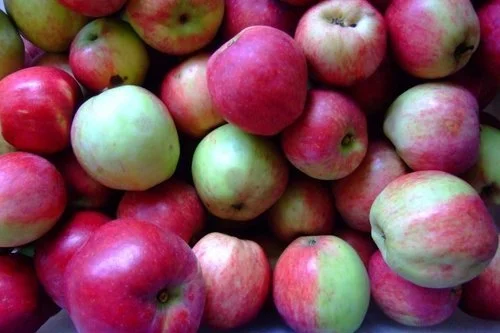 Red Free Apple