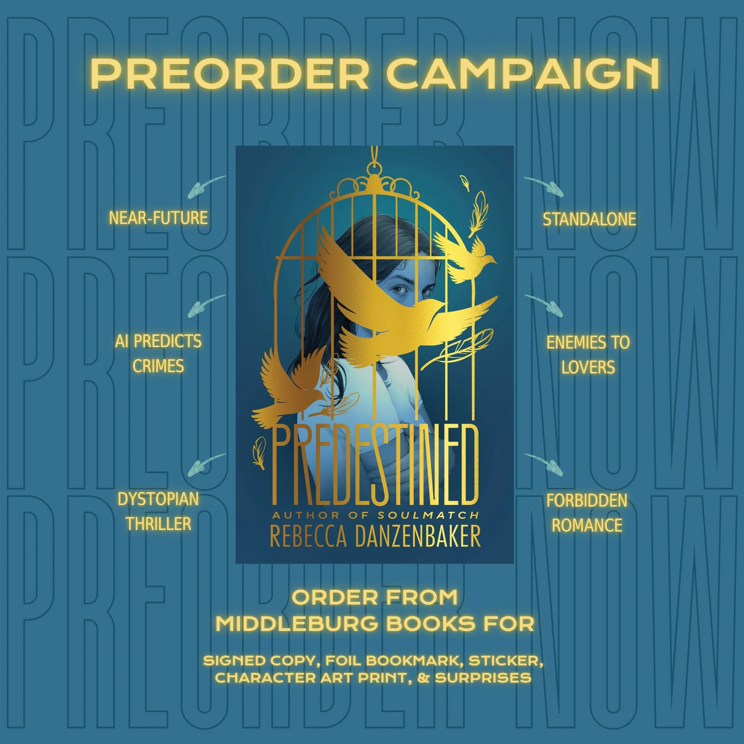 Predestined Preorder Goodies!