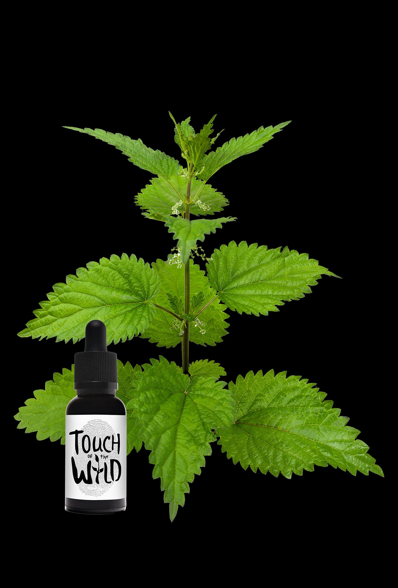 Nettle-cropped-sized.jpg