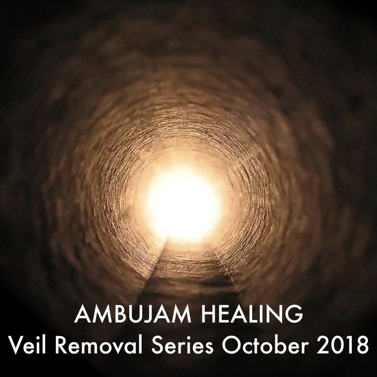 [Image: AH+Veil+Removal+Series+Oct+2018+Artwork.jpg?format=750w]