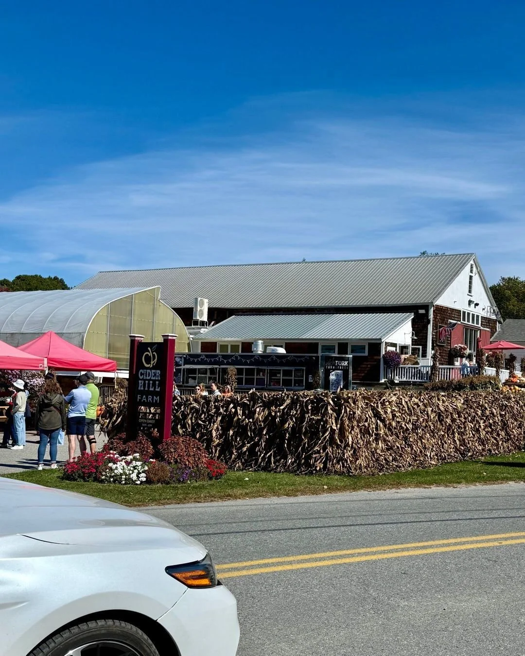 ✨Big news, friends&hellip; my cards have a new home! 💌
You can now find Meghann Lynne Designs at @ciderhill_farm&rsquo;s beautiful farm shop, nestled right in the heart of apple orchard season 🍎🌿

I dropped off a fresh batch of cards last week ful