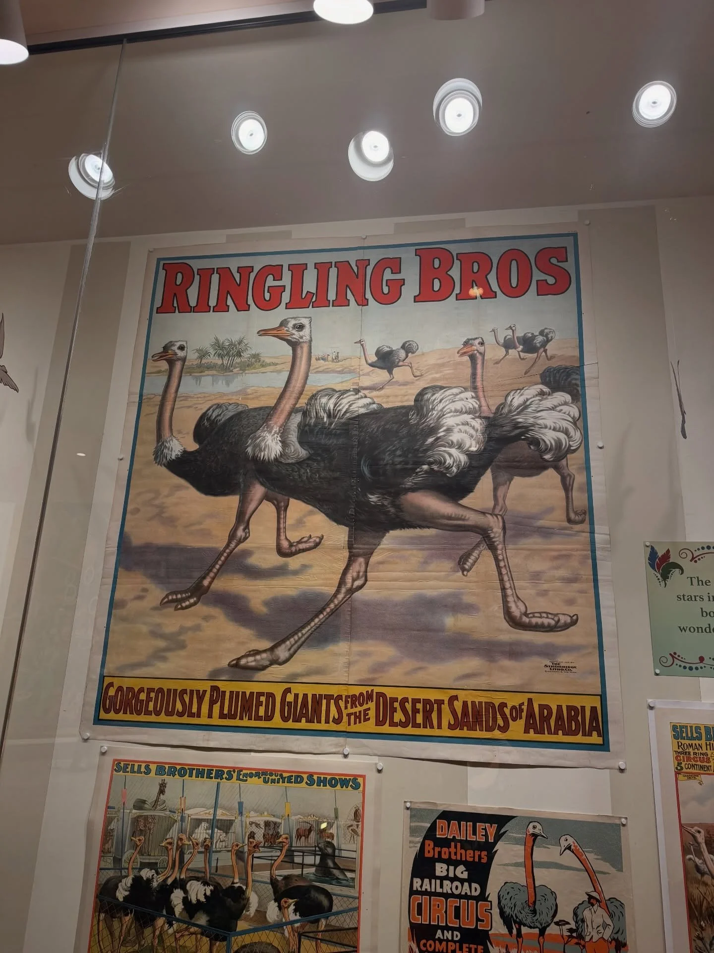 Last week we took a quick trip to visit my folks in Florida for a free days and returned in time for the newest snowstorm (is it possible winter is out to get us?) and then promptly came down with a cold. So I&rsquo;ve been lasting low hoping to get 