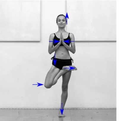 A young woman practicing yoga in a yoga pose with her hands in prayer position, standing on one leg with the other foot resting on her inner thigh, in front of a blank wall.