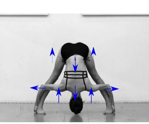 Person doing a yoga pose with legs bent backward, head on the ground, holding a horizontal bar with arms extended, with blue arrows indicating movement directions.